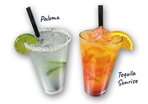 paloma